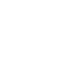ai-assistant (1)