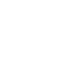 ecommerce (2)